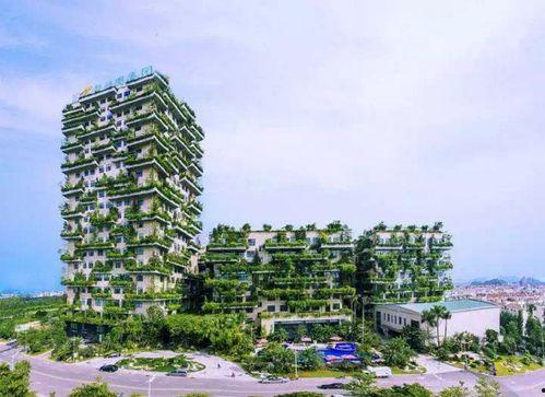 海口碧桂园爆料案件最新,揭开背后惊人真相  第2张